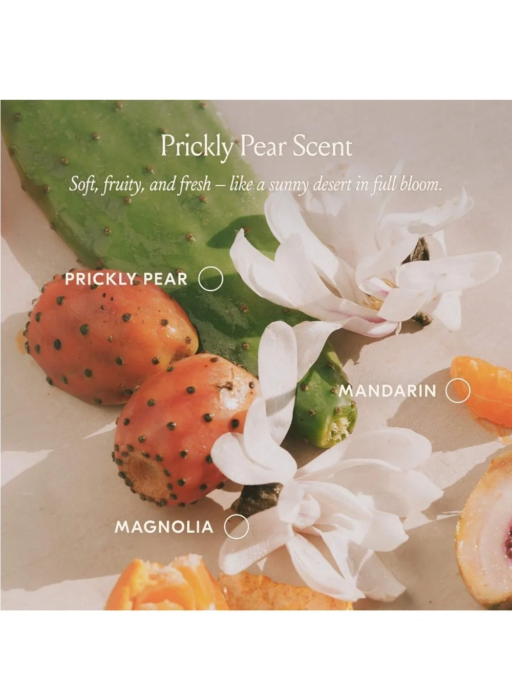 DAE PRICKLY PEAR HAIR OIL